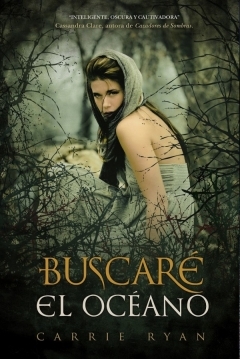 Poster Buscaré el Océano