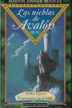 Poster Las Nieblas de Avalon