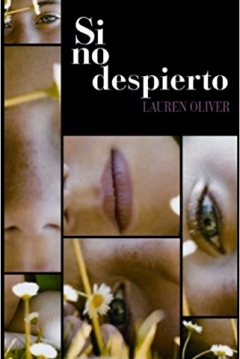 Poster Si no Despierto