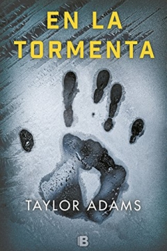 Poster En la Tormenta