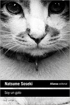 Poster Soy un gato