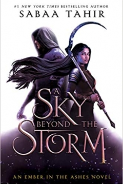 Poster A Sky Beyond the Storm