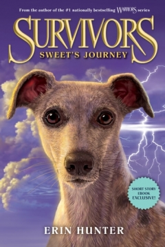 Poster Survivors: Sweet's Journey