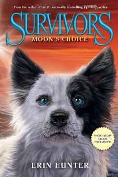 Poster Survivors: Moon's Choice
