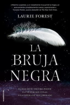 Poster Las Crónicas de la Bruja Negra 1: La Bruja Negra