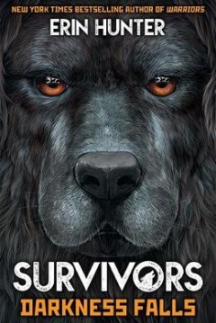 Poster Survivors Book: Darkness Falls