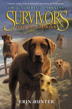 Poster Survivors: Into the Shadows