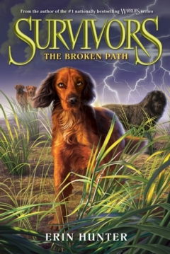 Poster Survivors: The Broken Path
