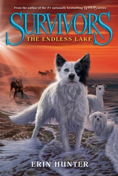 Poster Survivors: The Endless Lake
