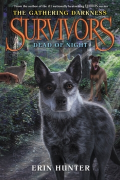 Poster Survivors: Dead of Night