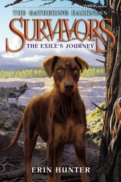 Poster Survivors: The Exile's Journey