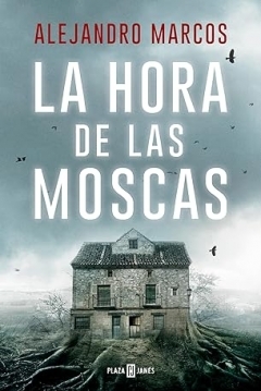 Poster La hora de las moscas