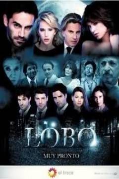 Poster Lobo