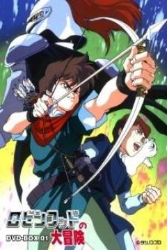 Ficha Las Aventuras del Joven Robin Hood