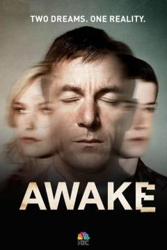 Ficha Awake