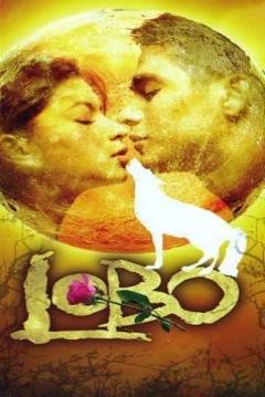 Poster Lobo (Wolf)
