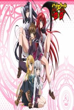 Poster High School DxD