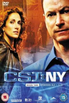 Ficha CSI Nueva York
