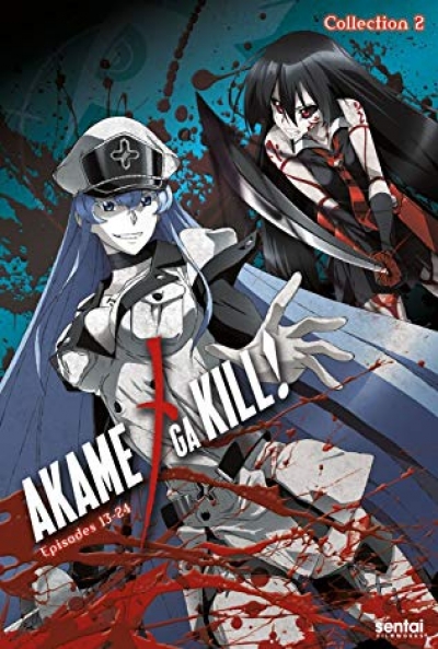 Poster Akame Ga KILL!