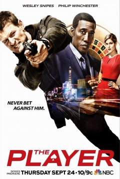 Poster The Player