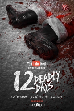 Poster 12 Deadly Days