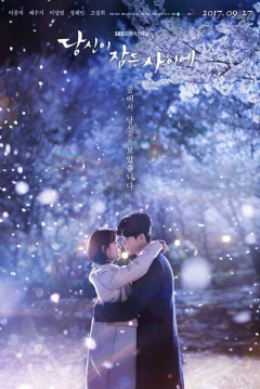 Poster While You Were Sleeping 