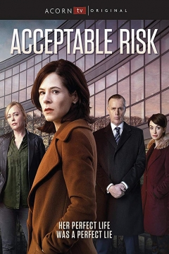 Poster Acceptable Risk
