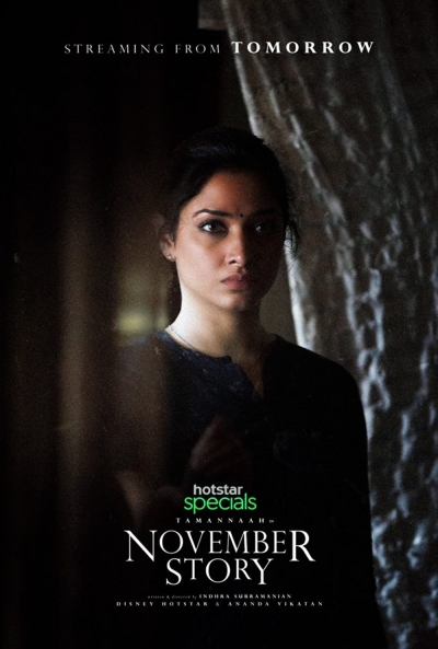 Poster November Story
