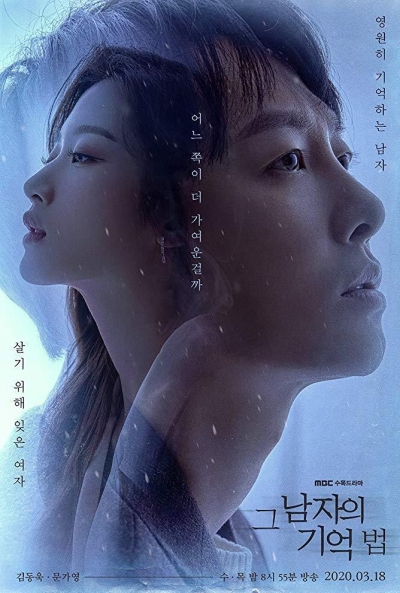 Poster Find me in your Memory