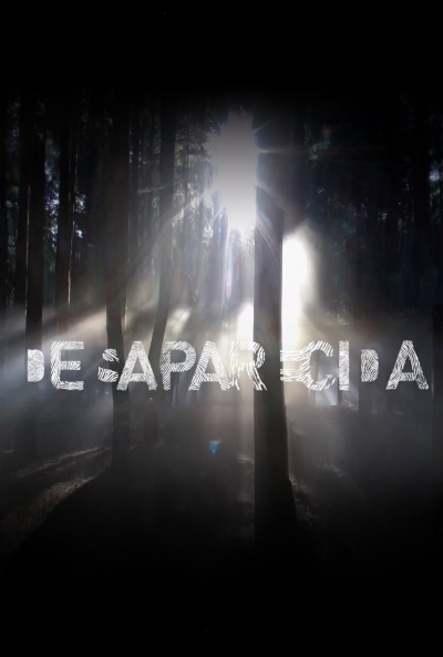 Poster Desaparecida