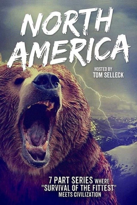 Poster Last Train to North America