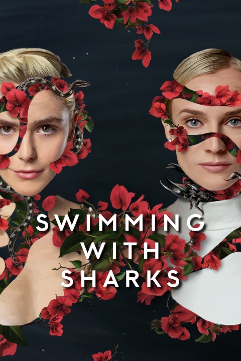 Poster Nadando con Tiburones