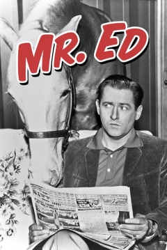 Poster Mr. Ed