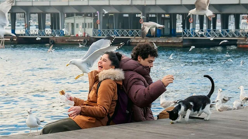 Final de Enciclopedia de Estambul explicado