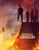 Animal Kingdom (Netflix)