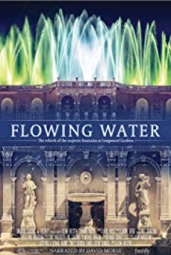Poster Flowing Water