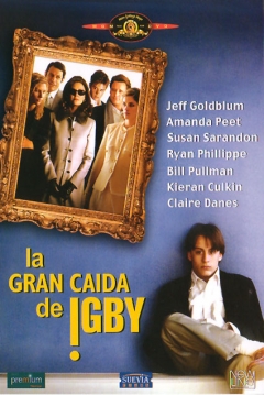 Poster La Gran Caída de Igby