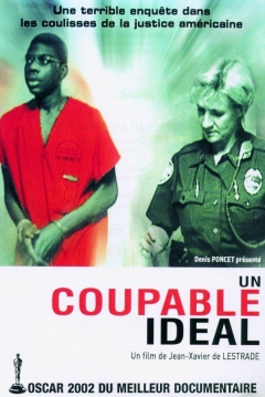 Poster Un Culpable Ideal