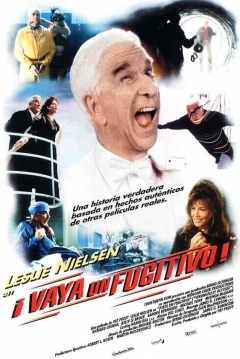 ¡Vaya un fugitivo! — póster