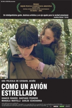 Poster Como un Avión Estrellado