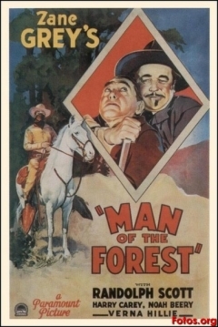 Poster El Hombre del Bosque