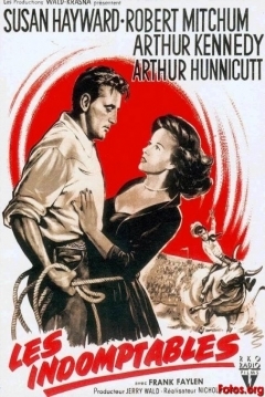 Poster Hombres Errantes