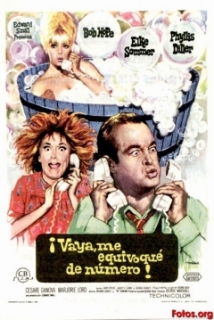 Poster ¡Vaya, Me Equivoqué de Número!