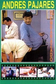 Poster El Embarazado