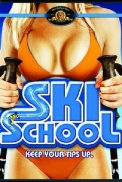 Poster Loca Academia de Esqui (Escuela de Esqui)