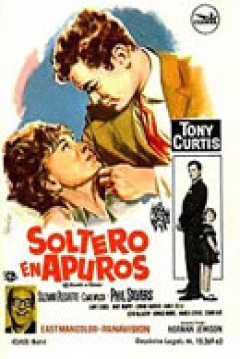 Poster Soltero en Apuros
