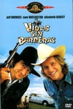 Poster Vidas sin Barreras