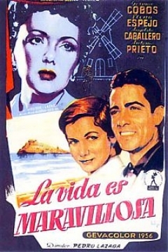 Poster La Vida es Maravillosa