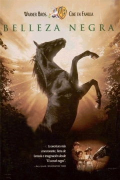Poster Belleza Negra / Caballo Negro