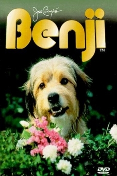 Poster Benji 